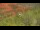 Webcam in Sedona, Arizona, 158.5 km