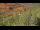 Webcam in Sedona, Arizona, 182 km