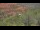 Webcam in Sedona, Arizona, 27.5 mi away