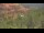 Webcam in Sedona, Arizona, 282.4 km entfernt