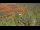 Webcam in Sedona, Arizona, 160.3 km