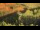 Webcam in Sedona, Arizona, 120.6 km