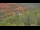 Webcam in Sedona, Arizona, 40.4 km