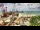 Webcam in Naples, Florida, 65.2 mi away