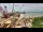 Webcam in Naples, Florida, 67.5 mi away