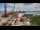 Webcam in Naples, Florida, 1.7 mi away