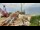 Webcam in Naples, Florida, 64.7 mi away