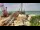 Webcam in Naples, Florida, 173.7 km