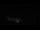Webcam in Valgrisenche, 5.5 mi away