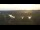 Webcam in Pocking, 6.7 mi away