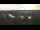 Webcam in Pocking, 6 mi away