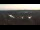 Webcam in Pocking, 6.8 mi away