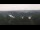 Webcam in Pocking, 17.4 km