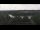 Webcam in Pocking, 23.6 km