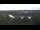 Webcam in Pocking, 17.5 km entfernt