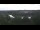 Webcam in Pocking, 6.8 mi away