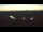Webcam in Pocking, 10.9 mi away