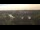 Webcam in Pocking, 6.8 mi away