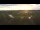 Webcam in Pocking, 6.8 mi away