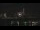 Webcam in Weehawken, New Jersey, 15.6 km