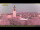 Webcam in Bertipaglia di Maserà, 34.2 km entfernt