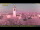 Webcam in Bertipaglia di Maserà, 8.4 km