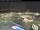 Webcam auf der Norwegian Encore, 47.9 km entfernt
