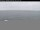 Webcam auf der Norwegian Encore, 204.2 km entfernt