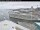 Webcam on the Norwegian Encore, 7.4 mi away