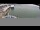 Webcam on the Norwegian Prima, 34.9 mi away