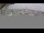Webcam on the Pride of America, 42.1 mi away