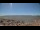 Webcam am Mauna Loa, Hawaii, 66.9 km entfernt