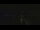 Webcam sur la Viking Octantis, 61.8 km