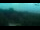 Webcam in Fažana, 2.3 mi away