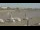 Webcam in Châtelaillon-Plage, 11 km entfernt
