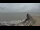Webcam in Châtelaillon-Plage, 17.6 km