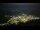 Webcam in Lourdes, 0 km