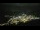 Webcam in Lourdes, 0 mi away