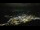 Webcam in Lourdes, 12.2 km entfernt