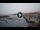 Webcam in Candelaria, 7 mi away