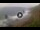 Webcam in Benijo (Tenerife), 5.3 mi away