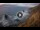 Webcam in Benijo (Tenerife), 5.2 mi away