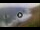 Webcam in Benijo (Tenerife), 5.2 mi away