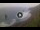 Webcam in Benijo (Tenerife), 457.4 km