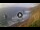 Webcam in Benijo (Tenerife), 5.2 mi away