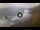 Webcam in Benijo (Tenerife), 177.8 mi away