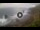 Webcam in Benijo (Ténérife), 15.7 km