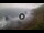 Webcam in Benijo (Ténérife), 16.6 km