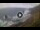 Webcam in Benijo (Teneriffa), 462.9 km