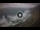 Webcam in Benijo (Teneriffa), 7.4 km entfernt